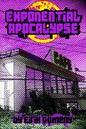Exponential Apocalypse - Paperback