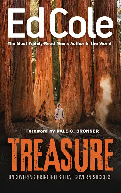 Treasure: Uncovering Principles That Govern Success - Paperback