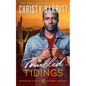 Troubled Tidings: A Christmas novella - Paperback