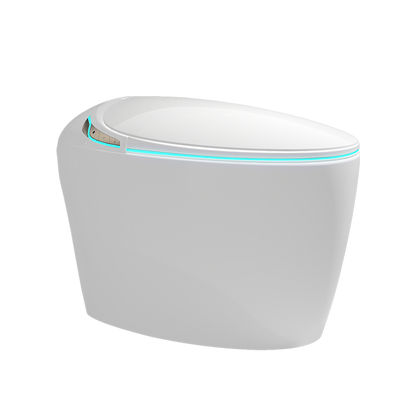 Unique Smart Toilet with Bidet Built In, Intelligent One Piece Toilet For Mod...