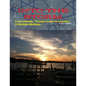 INTO THE STORM From Infertility, Through Invitro-fertilization, To Multiple Multiples - Paperback