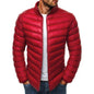 Fruity bright men's cotton clothing