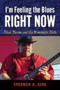 I'm Feeling the Blues Right Now: Blues Tourism and the Mississippi Delta - Paperback