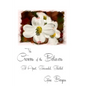 The Crowns of the Believers: Set Apart, Surrounded, Shielded - Paperback