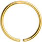 20G 9mm Gold Tone PVD Grade 23 Titanium Bendable Hoop Ring