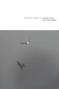 In Beauty We Are Made Visible - Paperback
