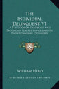 The Individual Delinquent V1: A Textbook of Diagnosis and Prognosis for All Concerned in Understanding Offenders - Paperback