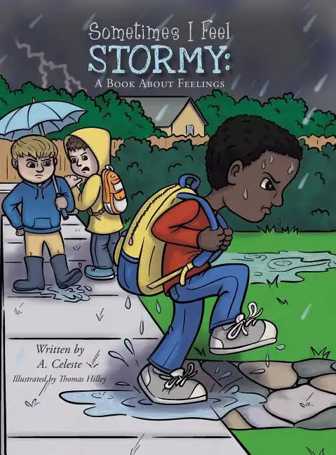 Sometimes I Feel Stormy: A Book About Feelings - Hardcover