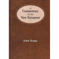 A Commentary of the New Testament - Hardcover