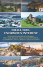 Small Size, Enormous Interest: A Critical Analysis of Andorra, the Faroe Islands, Iceland, Liechtenstein, Luxembourg, Malta, Monaco and San Marino - Paperback
