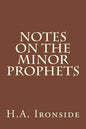 Notes On The Minor Prophets - Paperback