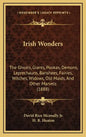 Irish Wonders: The Ghosts, Giants, Pookas, Demons, Leprechauns, Banshees, Fairies, Witches, Widows, Old Maids, And Other Marvels (188 - Hardcover