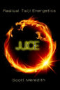 Juice: Radical Taiji Energetics - Paperback