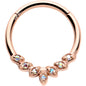 16G 3/8 Aurora CZ Gem Rose Gold Hue Seven Leaf Hinged Segment Ring