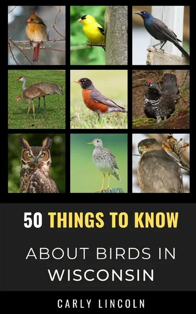 50 Things to Know About Birds in Wisconsin: Birding in the Badger State - Paperback