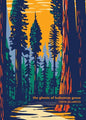 The Ghosts of Bohemian Grove - Paperback