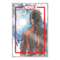 The Marvel Portfolio of David Mack: Daredevil - Loose Leaf
