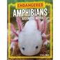 Endangered Amphibians Around the World - Hardcover