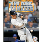 New York Yankees - Library Binding
