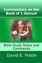 Commentary on the Book of 1 Samuel: Bible Study Notes and Comments - Paperback