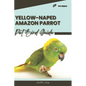 Yellow-Naped Amazon Parrot: Pet bird guide - Paperback