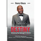 Design Your Destiny: Actualizing Your Birthright To Success - Paperback