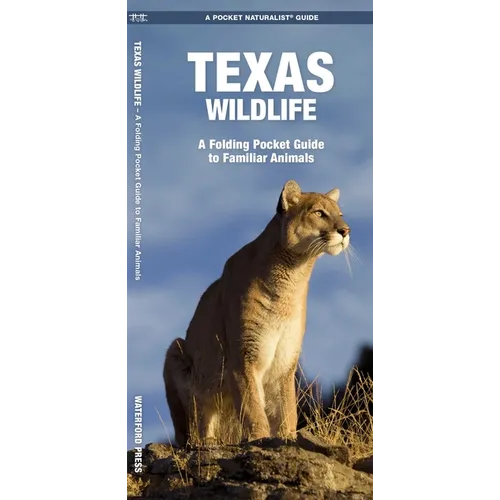 Texas Wildlife: An Introduction to Familiar Species - Paperback