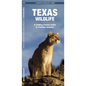 Texas Wildlife: An Introduction to Familiar Species - Paperback
