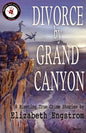 Divorce by Grand Canyon: 8 Riveting True Crime Stories - Paperback