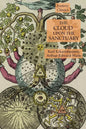The Cloud Upon the Sanctuary: Esoteric Classics - Paperback