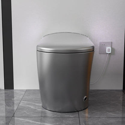Starry Night Light Smart Toilet with Bidet Built In, Modern Design For  Bathr...