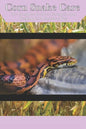 Corn Snake Care: The Complete Guide to Caring for and Keeping Corn Snakes as Pets - Paperback