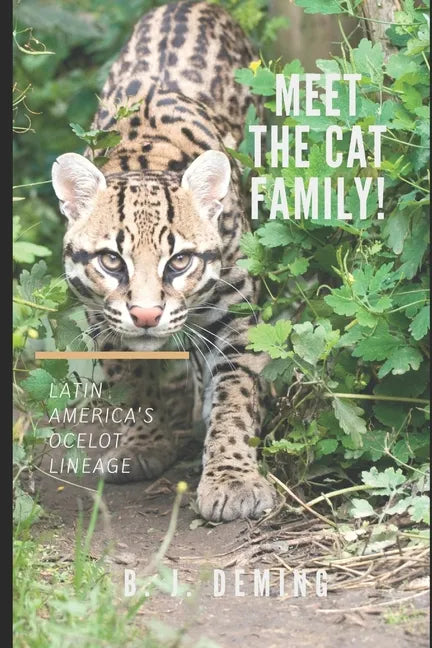 Meet the Cat Family!: Latin America's Ocelot Lineage - Paperback