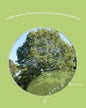 ADHD and OCD Workbook for kids, parents and teachers too - Paperback
