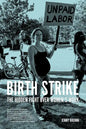 Birth Strike: The Hidden Fight Over Women's Work - Paperback