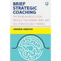 Brief Strategic Coaching: The Problem Resolution Process That Inspired Brief and Solution-Focused Thinking - Paperback