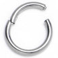 18G 1/4 ASTM F-136 Titainum Percision Hinged Segment Hoop