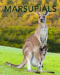 Marsupials: Amazing Pictures & Fun Facts of Animals in Nature - Paperback