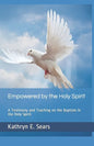 Empowered by the Holy Spirit: A Testimony and Teaching on the Baptism in the Holy Spirit - Paperback