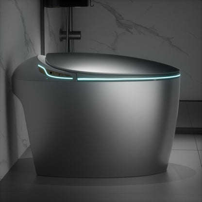 Smart Toilet One-Piece Gray Bidet Auto Lid Heated Seat Night Light 1.28 GPF