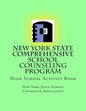 New York State Comprehensive School Counseling Program: High School Activity Book - Paperback