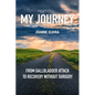 My Journey: from gallbladder attack to recovery without surgery - Paperback