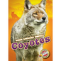 Coyotes - Library Binding