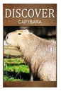 Capybara - Discover: Early reader's wildlife photography book - Paperback