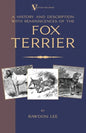 A History and Description, With Reminiscences, of the Fox Terrier (A Vintage Dog Books Breed Classic - Terriers) - Paperback