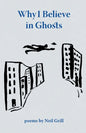 Why I Believe in Ghosts - Paperback
