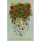 Romeo and Juliet - Paperback
