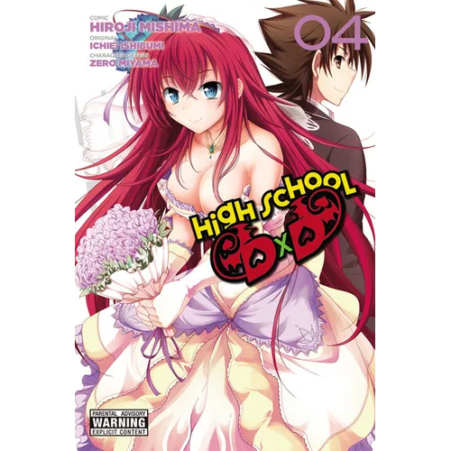 High School DXD, Vol. 4 - Paperback