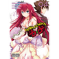 High School DXD, Vol. 4 - Paperback