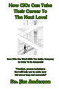 How CIOs Can Take Their Career To The Next Level: How CIOs Can Work With The Entire Company In Order To Be Successful - Paperback